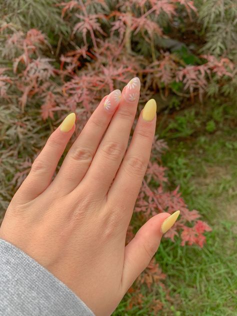 Acrylic nails with light yellow on the thumb, pointer, and pinky finger and flower accent nails on the ring and middle fingers. Yellow Nails With Accent Nail, Acrylic Yellow Nails, Nails With Accent Nail, Yellow Flower Nails, Nails With Accent, Middle Fingers, Shimmer Body Oil, Accent Nail, Yellow Nails