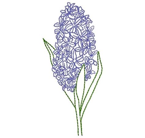 Hyacinths Drawing, Hyacinth Drawing Simple, Hyacinth Craft, Hyacinth Flower Drawing Simple, Hyacinth Tattoo Simple, Hyacinth Drawing, Hyacinth Tattoo, Redwork Machine Embroidery Designs, Machine Embroidery Redwork