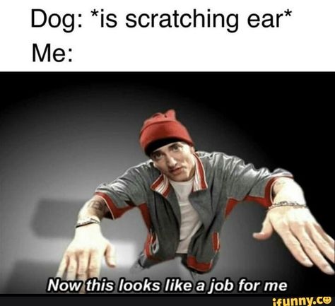 Dog: *is scratching ear* Me: Now this looks like a job for me – popular memes on the site iFunny.co Uplifting Memes, Joke Of The Day, Cheer You Up, Wholesome Memes, Meme Template, Images Gif, Popular Memes, Eminem, Dankest Memes