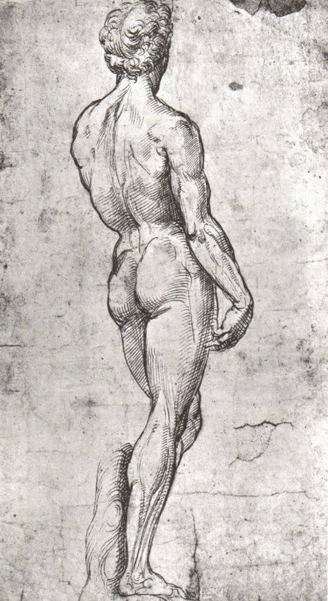 Drawing Human Body Sketches, Raphael Sanzio, Master Drawings, Male Figure Drawing, Master Drawing, Human Figure Drawing, Human Anatomy Art, Figure Sketching, Arte Sketchbook