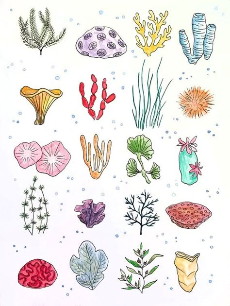 Outdoor Doodles, Vertical Illustration, Pattern Sketchbook, Coral Reef Drawing, Coral Drawing, Coral Reef Art, Ocean Drawing, Coral Watercolor, Coral Art