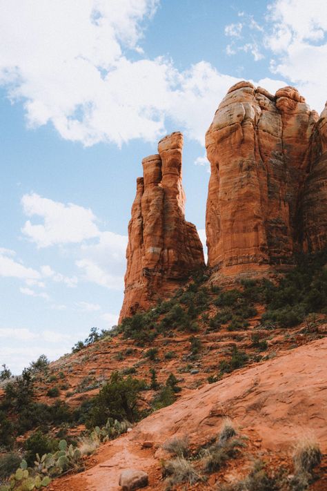 Hiking Trail Aesthetic, Terrarium Drawing, Sedona Photography, Hiking Desert, Sedona Landscape, Wanderlust Aesthetic, Desert Photos, Desert Rocks, Cactus Sunset