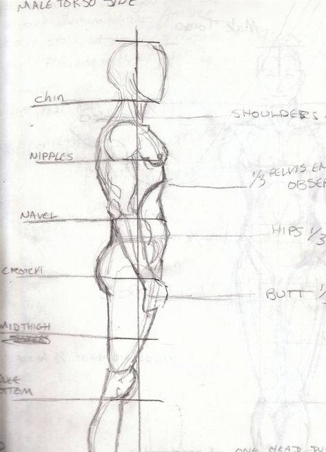 Male Side View, Drawing Side View, Side Drawing, Anatomy Male, Drawing Men, Armor Drawing, Man Anatomy, Guy Drawing, Male Body