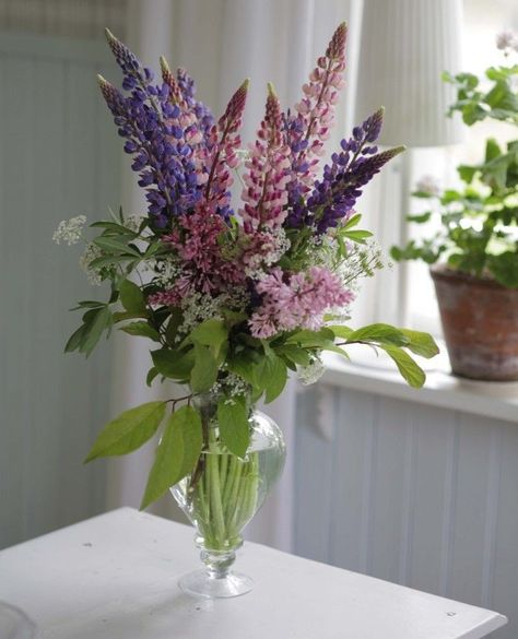 Lupine Wedding, Lupine Bouquet, Geraniums Red, Lupine Flowers, Pink Geranium, Flower Cottage, Cut Flower Garden, Wedding 2025, Cut Flowers