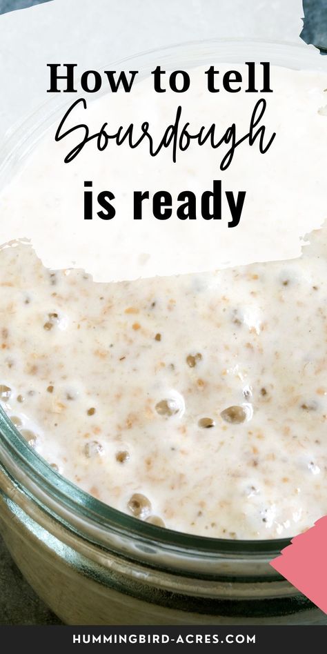 Healthy Starters, Sourdough Bread Starter, Dough Starter, Chewy Bread, Homemade Sourdough Bread, Homemade Breads, Bread Starter, No Rise Bread, Sourdough Baking