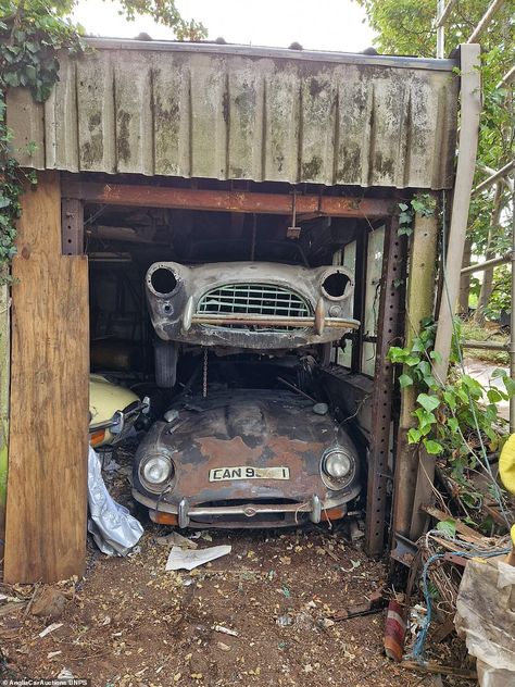 Seven 'rustbucket' classic cars found in a shed after 50 years to sell for over £200k | Daily Mail Online Barn Finds Classic Cars, Hot Rod Cars, Barn Find Cars, Car Shed, Rust Never Sleeps, Car Barn, Cars 4, Rusty Cars, Old Race Cars