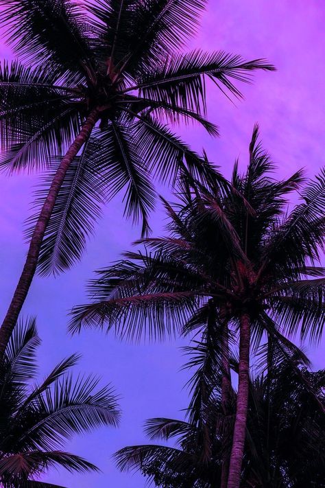 Purple Palm Tree Delight, Wallpapers For Summer, Insta Wall, Vibes Background, White Glitter Wallpaper, Retrowave Aesthetic, 80s Synthwave, Purple Skies, Maldives Resorts