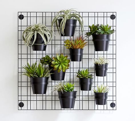 Wall Pots For Plants Outdoor, Plant Decorating Ideas, Boho Plant Wall, Indoor Living Wall, Indoor Forest, Planters Patio, Wall Planters Outdoor, Wall Grid, Plant Inspiration