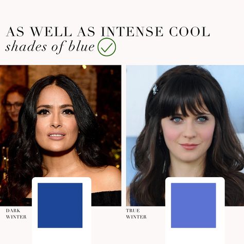 Dark Winter / Deep Winter VS True Winter palette 🖤 . #coloranalysis #colouranalysis #winterpalette #truewinter #darkwinter #deepwinter #coloranalyst #zooeydeschanel #salmahayek True Winter Palette, True Winter Makeup, Deep Winter Palette Outfits, True Winter Color Palette, Deep Winter Palette, Deep Winter Colors, True Winter, Winter Color Palette, Winter Makeup