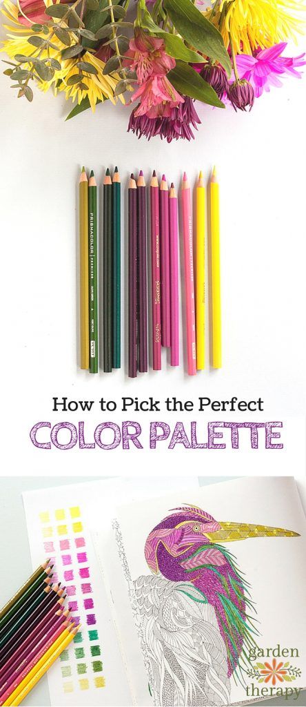 How to color like a pro - tips on choosing a color palette from a designer and artist How To Color Coloring Books, Artists Color Palette, Color Palette Prismacolor Pencil, Coloring Book Tips, Coloring Book Inspiration, How To Color, Prismacolor Palette, Coloring Palette, Colouring Tips