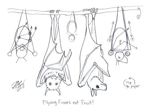 Draw Bats 3 by Diana-Huang.deviantart.com on @deviantART Drawing Wings, Bat Sketch, Bat Clip Art, Draw A Bat, Wings Tutorial, Bat Art, Sketch Painting, Drawing Lessons, Teaching Art