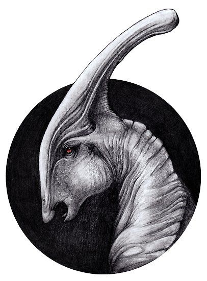 Albino Parasaurolophus Walkeri - Paleo Portrait by MonoMano Dinosaur Mandala, Colorpencils Drawing, Observational Drawings, Dinosaur Pencil, Blue Jurassic World, Dino Art, Dinosaur Sketch, Christmas Rocks, Dinosaur Tattoos