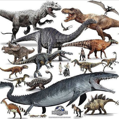 Dinossauros do Jurássico                                                                                                                                                                                 Mais Sheldon The Tiny Dinosaur, Jurassic Dinosaurs, Real Dinosaur, Prehistoric Dinosaurs, Jurrasic Park, Dinosaur Pictures, Jurassic World Dinosaurs, Ark Survival Evolved, Ancient Animals