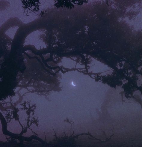 Nona Limmen, Purple Goth, Dark Purple Aesthetic, Mazzy Star, Gothic Aesthetic, Season Of The Witch, Witch Aesthetic, Goth Aesthetic, Night Aesthetic