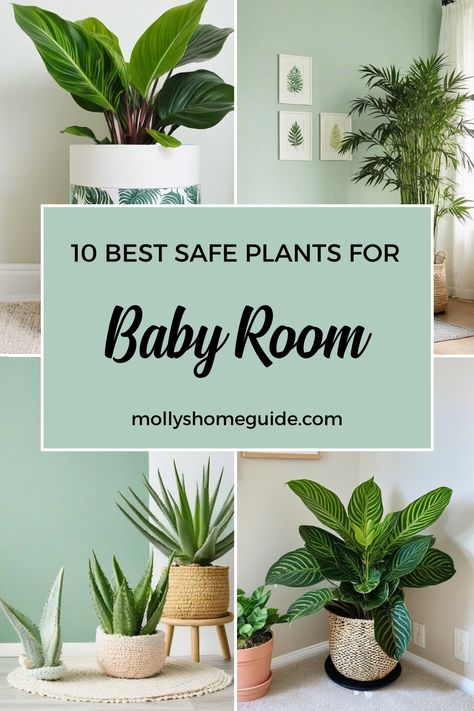 Discover the best indoor plants for baby rooms that are both safe and stylish. Use this indoor plant care guide to find low-light, zero sunlight, and cat-safe plants that are perfect for bedrooms. Explore hard-to-kill and low-maintenance houseplants ideal for hanging or styling your space. Whether you're a plant parent newbie or a seasoned green thumb, these selections like prayer plants will add life to any room effortlessly. Hanging Plants In Nursery, Plant Inspired Nursery, Hanging Plant In Nursery, Best Plants For Nursery, Plants For Nursery Baby Rooms, Nursery Plants Ideas, Plant For Nursery, Plants For Nursery, Nursery With Plants