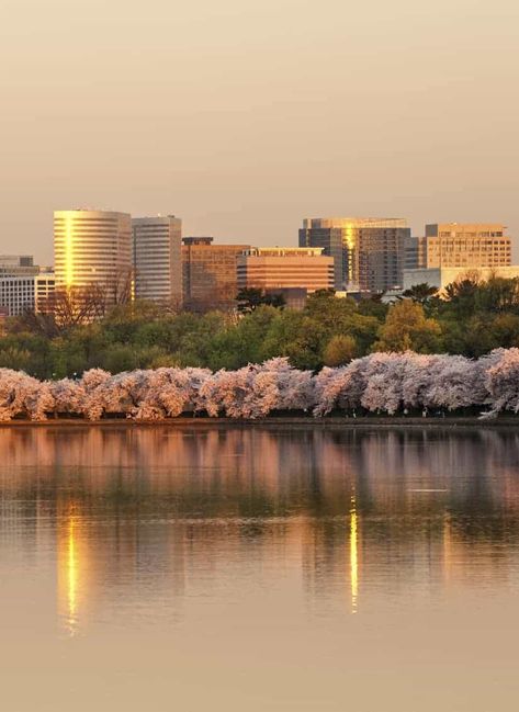 Happy City, Arlington Virginia, Arlington National Cemetery, Arlington Va, National Cemetery, Northern Virginia, Outdoor Life, Canvas Home, San Francisco Skyline