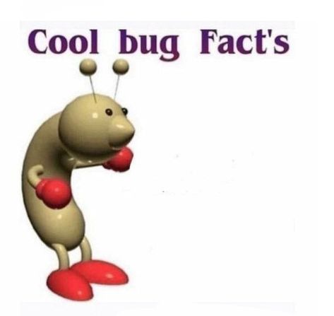 Cool Bug Facts Template, Cool Bug Facts, Amphibia Drawing, Bug Memes, Bug Facts, Cool Bugs, Goofy Pictures, Terraria, Roblox Memes