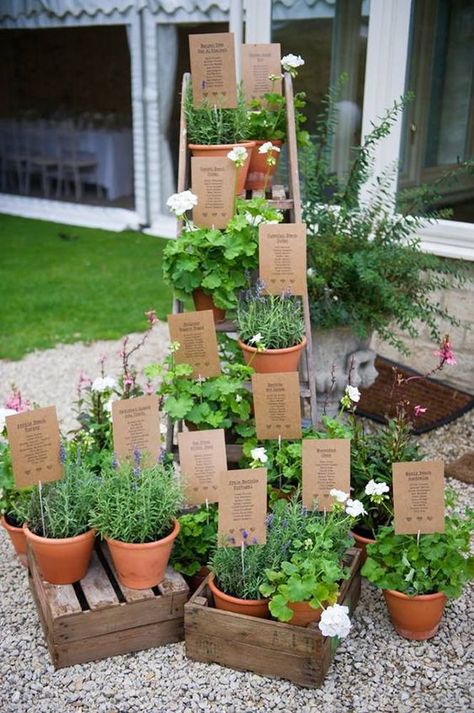 Wine Box Wedding Decor, Herb Wedding, Ideas Bodas, Cheap Wedding Decorations, Bridal Ideas, Plant Table, Sustainable Wedding, Wedding Table Plan, Seating Plan Wedding