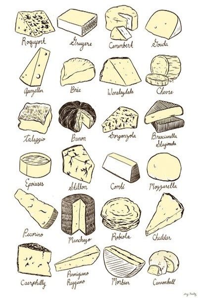 Cheeses Chart -All cheeses, both full-fat and 2%, including goat, cow, sheep (raw is best, but harder to find) Visit Wisconsin, Cheese Guide, Cheese Table, Cheese Art, Cheese Party, Types Of Cheese, Wine Cheese, Society 6, Sketch Inspiration