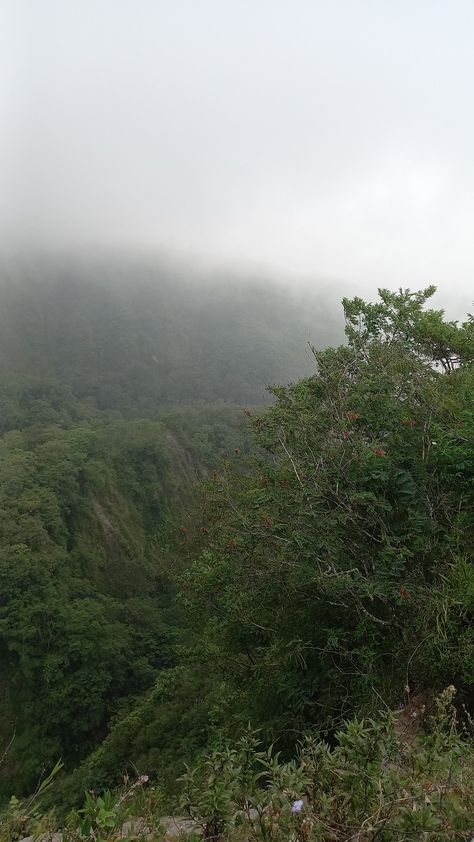 #mist #mountain #landscape #cloudy Mist Mountain, Cloudy Mountains, Mountain Landscape, Mountain View, Wallpaper Backgrounds, Mist, Theater, Wallpapers, Natural Landmarks