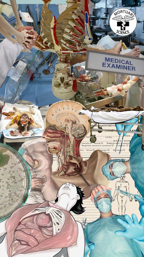 Medical examiner #anatomy Medical Examiner Aesthetic, College Core, Field Aesthetic, Medical Examiner, Future Career, Prayer Board, Medical School, Dream Job, Dream Life