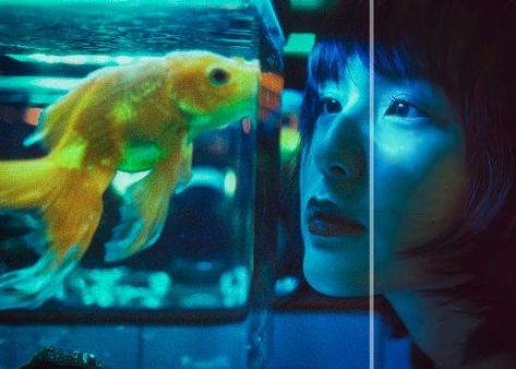 Aquarium Photos, Creative Self Portraits, Self Portrait Photography, Poses References, Cinematic Photography, Pose Reference Photo, Pics Art, Photoshop Lightroom, Photo Reference