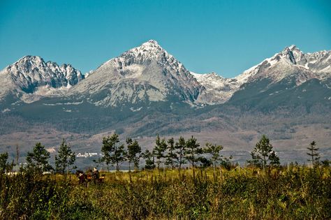 Slovakia, Poprad photo by Babreka. Poprad Slovakia, Alex Aesthetic, Slovakia, Hungary, Mount Everest, Natural Landmarks, Travel, Quick Saves, Art