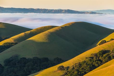 Green Hills, Landscape Illustration, Rolling Hills, Wonderful Places, Painting Inspiration, Wall Art Home, Art Home Decor, Art Home, Greeting Cards