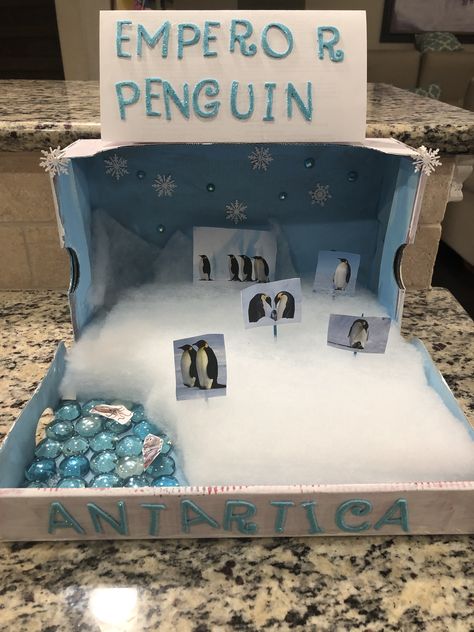 Penguin School Project, Penguin Diarama For Kids, Penguin Habitat Project, Habitat Diaroma, Penguin Diorama, Animal Diorama, Penguin Habitat, Penguin Project, Habitat Diorama