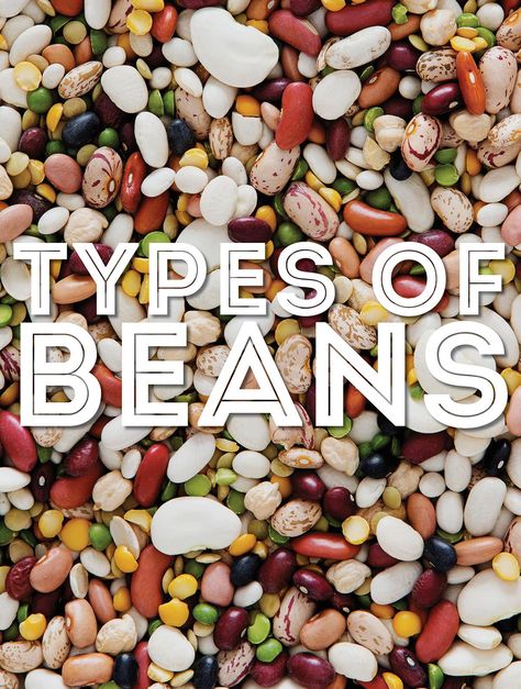 From adzuki to soybeans, we’re covering the most popular types of beans from A to Z in this helpful guide to beans and legumes! Types Of Beans Chart, Gigante Beans, Beans And Legumes, Beans Benefits, Mexican Bean Salad, Banana Curry, Cranberry Beans, Vegan Green Bean Casserole, French Green Beans