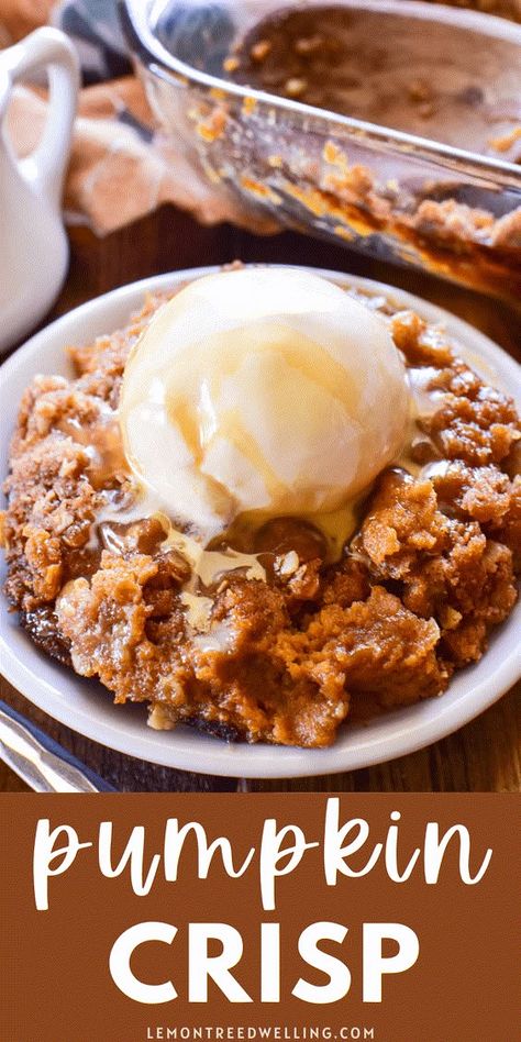 All the flavors of pumpkin pie in an easy, delicious crisp! This Pumpkin Crisp is oven-ready in just 10 minutes and perfect for all your fall gatherings! Pecan Crisp, Apple Pear Crisp, Pumpkin Cobbler, Pumpkin Crisp, Pear Crisp, Blueberry Crisp, Flour Substitute, Peach Crisp, How To Make Pumpkin