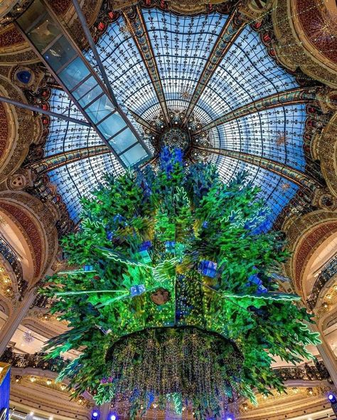 Where to See the Pretties Christmas Decorations in Paris🎄 💛Galeries Lafayette 💛Place Vendôme 💛Avenue Montaigne 💛Le Bon Marché 💛Rue Saint-Honoré Tell us, what are your favorite Christmas decorations in Paris?💕💕 📸Amazing photo by @sortiraparis.officiel & @galerielafayette Pretty Christmas Decorations, Parisian Life, Pretty Christmas, Amazing Photo, Galeries Lafayette, Life Style, Cool Photos, Christmas Decorations, Paris