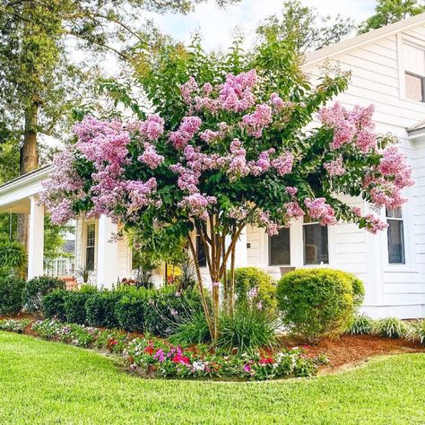 Front Yard Makeovers Before And Afters – Forbes Home Crepe Myrtles, Porch Landscaping, Garden Retreat, Small Front Yard Landscaping, Front Yard Garden Design, Farmhouse Landscaping, Dream Yard, Garden Wallpaper, Front Landscaping