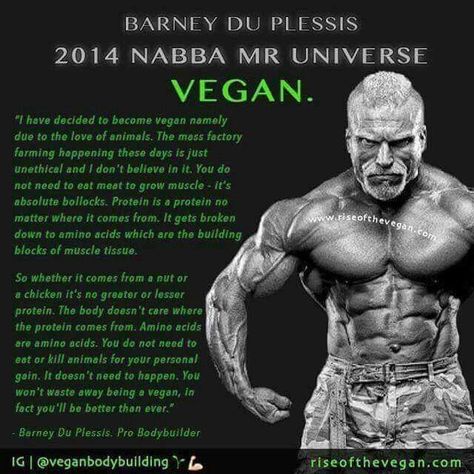 Ethics And Morality, Problems In The World, Vegan Facts, Mr Universe, Hungry Children, Vegan Bodybuilding, Vegan Athletes, Why Vegan, Vegan Quotes