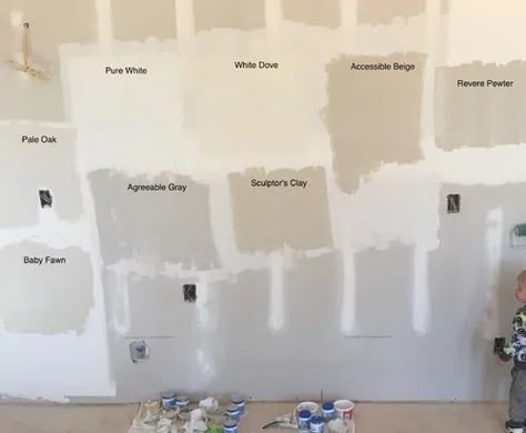 Greige Walls, Anew Gray, Worldly Gray, Beige Paint Colors, Edgecomb Gray, Greige Paint Colors, Greige Paint, Accessible Beige, Beige Paint