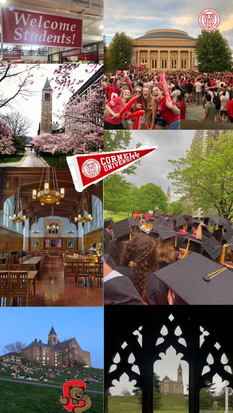 Cornell University, Dream Board, University, Collage