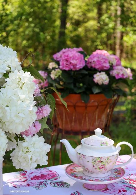 Celebrate 150 Years of the Kentucky Derby with a Festive Tea Party – Home is Where the Boat Is Spring Blooming Trees, Bridal Wreath Spirea, Mini Cinnamon Rolls, Hydrangea Pink, Peaceful Vibes, Bridal Wreath, Run For The Roses, Growing Pains, Blooming Trees