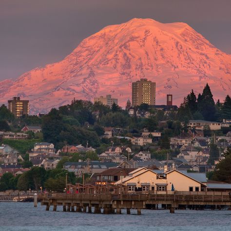 Tacoma Washington, Puget Sound, Pretty Places, Oh The Places Youll Go, Travel Aesthetic, Pacific Northwest, Dream Vacations, States Of America, Travel Dreams