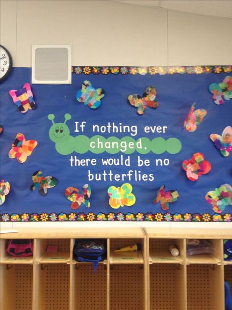 Butterfly Bulletin Board, Door Bulletin Boards, Summer Bulletin Boards, Spring Bulletin, Spring Bulletin Boards, Preschool Bulletin, Library Bulletin Boards, Church Bulletin Boards, Preschool Bulletin Boards