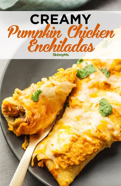 Chicken Enchiladas Healthy, Creamy Enchiladas, Enchiladas Chicken, Pumpkin Chicken, Autumn Squash, Pumpkin Recipes Dinner, Enchiladas Healthy, Savory Pumpkin Recipes, Fall Dinner Recipes