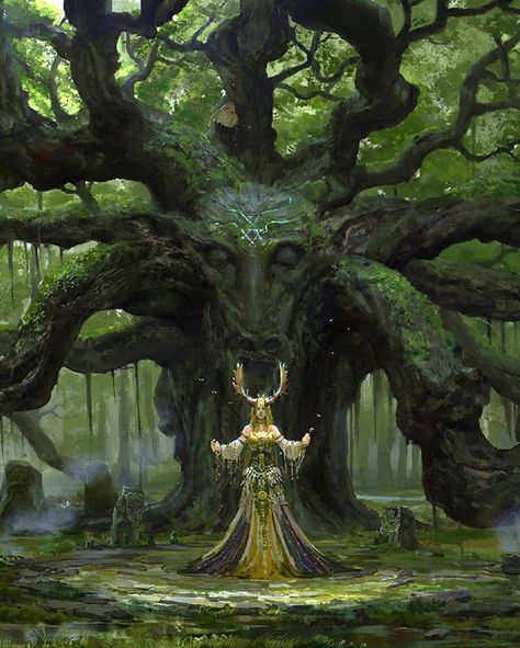 Solas Dragon Age, 다크 판타지, Fantasy Forest, Forest Creatures, Fantasy Setting, High Fantasy, Arte Fantasy, 판타지 아트, Fantasy Inspiration