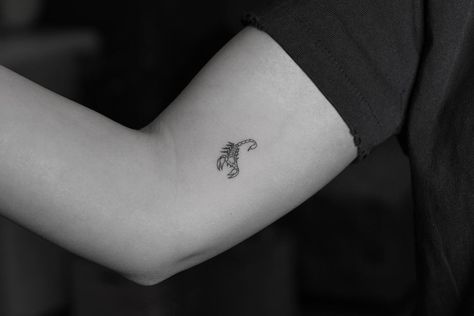 Scorpio Tattoos, Scorpion Tattoos, Matching Bff Tattoos, Nicole Guerriero, International Tattoo, Horoscope Tattoos, Petit Tattoo, Scorpio Tattoo, Scorpion Tattoo