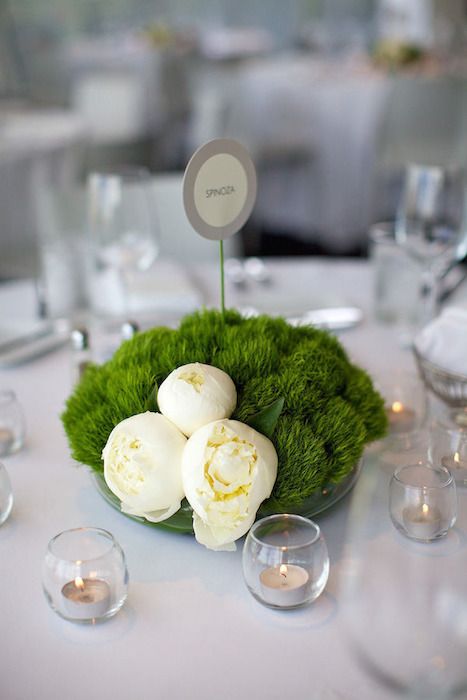 Minimalist Centerpiece, Peonies Centerpiece, Flowers And Greenery, Bridal Shower Centerpieces, Modern Minimalist Wedding, Minneapolis Wedding, Deco Floral, Wedding Tablescapes, Table Flowers