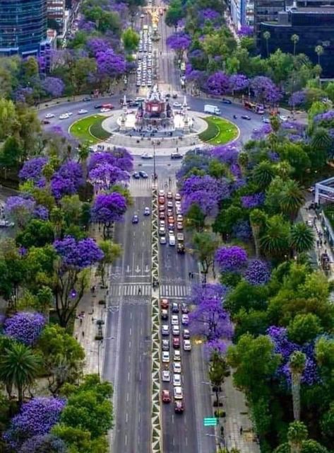 Guatemala City, Visit Mexico, Tikal, Cityscape Art, México City, Central American, Mexican Culture, Dream City, American Cities