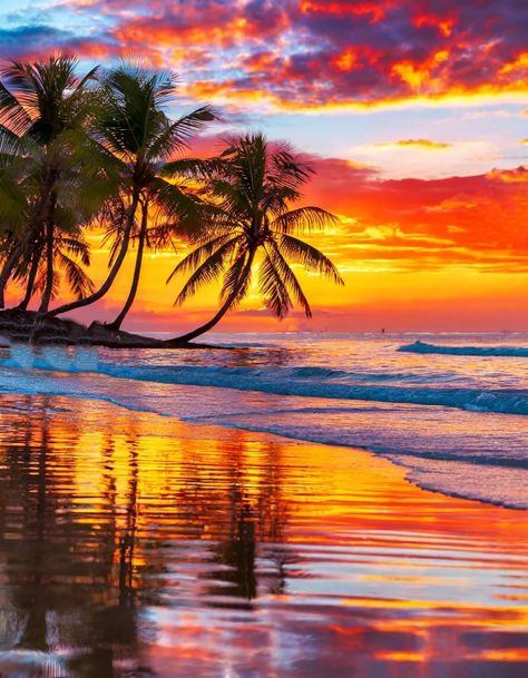 Tropical Paradise Beach, Waves On The Beach, Sunrise Wallpaper, Beautiful Summer Wallpaper, Sunrise Pictures, Beautiful Landscape Photography, Tropical Sunset, Fantasy Worlds, Painted Hats