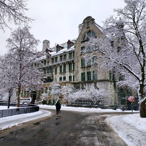 McGill University Winter Semester, Mcgill University, Mount Royal, Life Vision Board, Dream College, Dream School, Of Montreal, Montreal Quebec, University Of Toronto