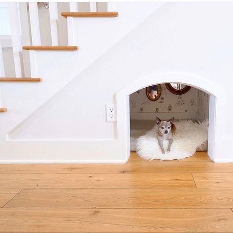 Dog Nook Ideas Under Stairs, Dog Cubby Under Stairs, Dog Area Under Stairs, Dog Under Stairs, Kitten Ideas, Bed Under Stairs, Under Stairs Dog House, Dog Nook, Dog Bedroom