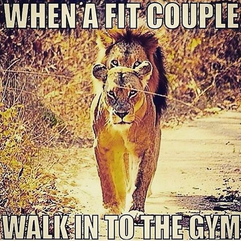 When A Fit Couple Walk Into The Gym fitness motivation exercise fitness quotes workout quotes exercise quotes Lioness Protecting Her King, Lion Protecting His Queen, Lioness Quotes, Empire Building, Gym Humour, Fitness Memes, Gym Couple, Gym Fitness Motivation, Lion Quotes