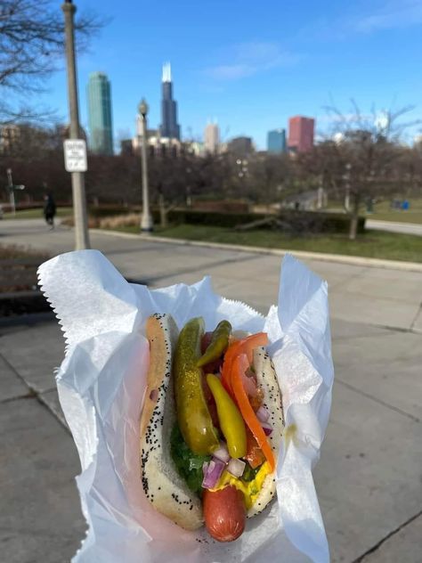 Chicago Style Hot Dog, Chicago Hot Dog, Chicago Aesthetic, Chicago Summer, Chicago Dog, Hot Dog Recipes, Chicago Food, Deep Dish Pizza, Chicago Travel