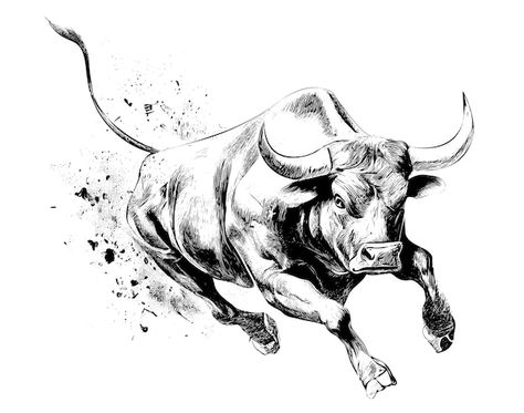 Vector angry bull running in fire hand d... | Premium Vector #Freepik #vector #bull #bull-head #ox-logo #buffalo-logo Bull Reference, Bull Art Drawing, Bull Running, Ox Tattoo, Bull Drawing, Taurus Bull Tattoos, Buffalo Tattoo, Running Drawing, Fire Hand